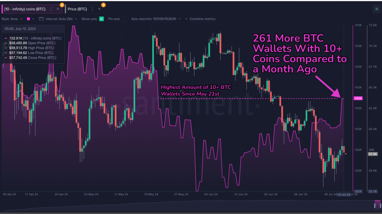 Bitcoin 10  BTC holdings chart
